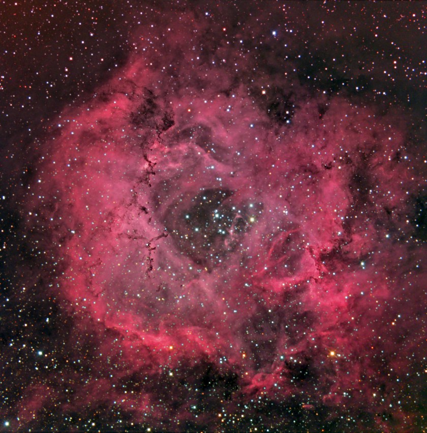 Robert fields 2rosette