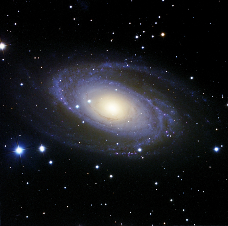 M 81 final_photo_DSP