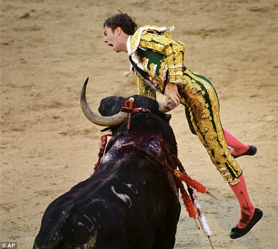 bull-fight-accident4